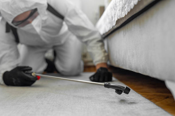 Professional Bed Bug Control technician working in Coyne Center, IL
