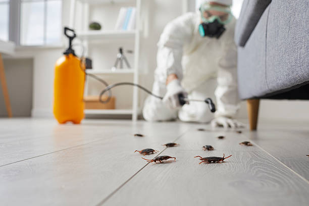 Trusted Cockroach Control service in Coyne Center, IL - Nex Pest Control