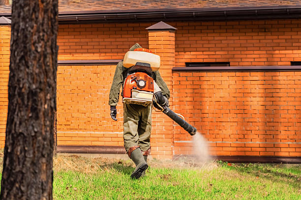 Trusted Ant Control service in Coyne Center, IL - Nex Pest Control